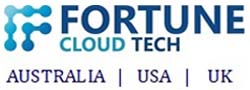 Fortune Cloud Tech- IT, Engineering, Construction & Technology Transformation